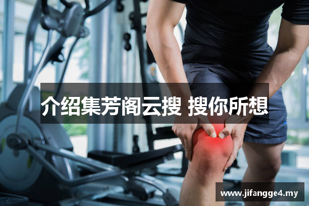 介绍集芳阁云搜 搜你所想